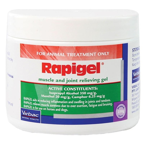 Rapigel 250g Muscle and Joint Relief