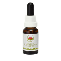 Australian Bush Pink Mulla Mulla 15ml