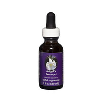 FES Quintessentials Angel's Trumpet 30ml