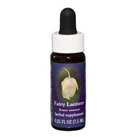 FES Quintessentials Fairy Lantern 7.5ml