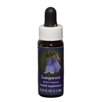 FES Quintessentials (Range Of Light) Lungwort 7.5ml