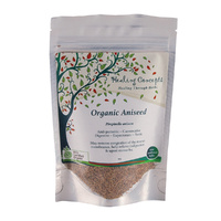 Healing Concepts Organic Aniseed 50g