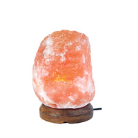 SaltCo Salt Crystal Lamp XX-Small 1-2kg