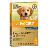 Advocate XL For Dogs Over 25Kg Blue 6 Pack (S6)
