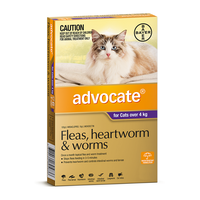 Advocate for Cats over 4kg - 6 Pack Flea & Worm Control (S5)