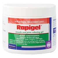 Rapigel 250g Muscle and Joint Relief