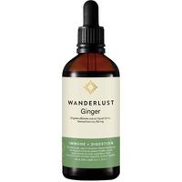 Wanderlust Ginger 90ml