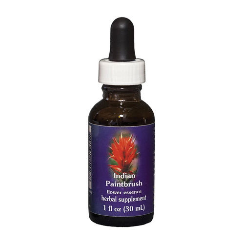 FES Quintessentials Indian Paintbrush 30ml