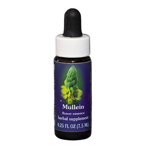 FES Quintessentials Mullein 7.5ml