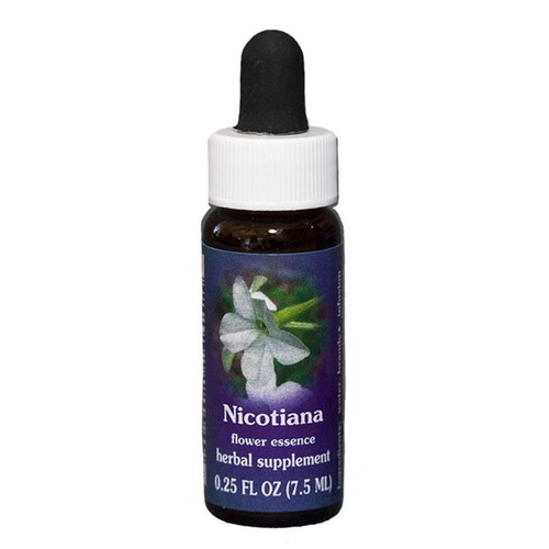 FES Quintessentials Nicotiana 7.5ml