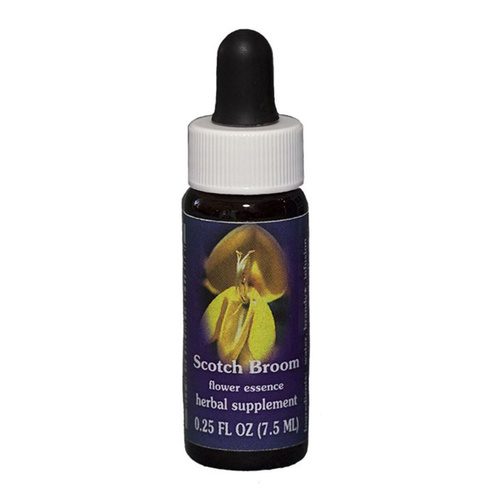 FES Quintessentials Scotch Broom 7.5ml