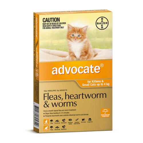 Advocate for Kittens & Cats under 4kg - 3 Pack Flea & Worm Control (S5)