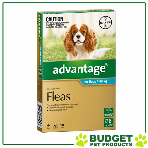 Advantage For Dogs 4-10kg 6 pack (S5)