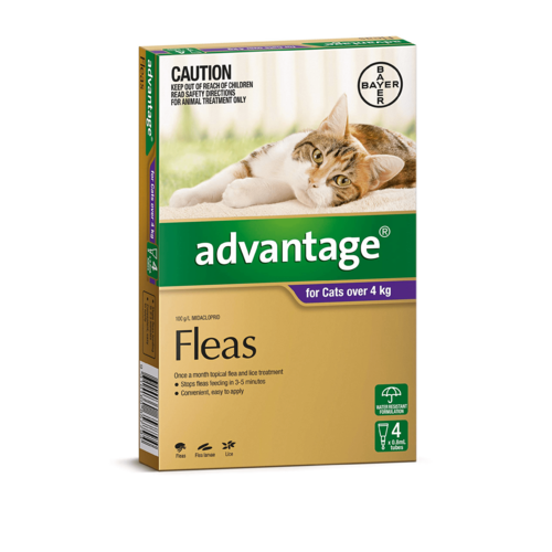 Advantage Flea Treatment for Large Cats Over 4kg 4 Pack (S5)