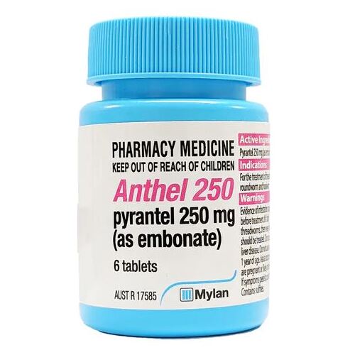 Anthel 250mg 6 Tablets (S2)